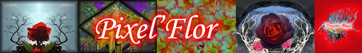 Bannière Pixel`Flor