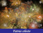 Photographies de feux d`artifices et leurs Métam`Art-Phoses pat François-Régis Hoareau protographe artiste infographiste et digigraphe