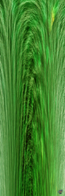 Photographie numérique en grand large panoramique ou vertical pour réalisations de tableaux décoratifs `design` et harmonieux par François-Régis Hoareau photographe artiste infographiste digigraphe