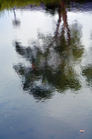Les reflets sur l`eau offrent un monde magigue qui met en émoi ma passion photohraghique et le développement de mon art numérique - Frissonnements dans un monde à l`envers - François-Régis Hoareau