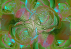 Photographie numérique sur des fleurs pour des séries dédiées à des compositions murales et stores `design` harmonieux par François-Régis Hoareau photographe artiste infographiste digigraphe