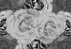 Photographie numérique sur des fleurs pour des séries dédiées à des compositions murales et stores `design` harmonieux par François-Régis Hoareau photographe artiste infographiste digigraphe